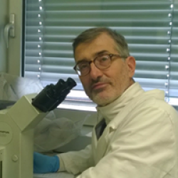 20664823_124235478213529_6905067842436858139_n