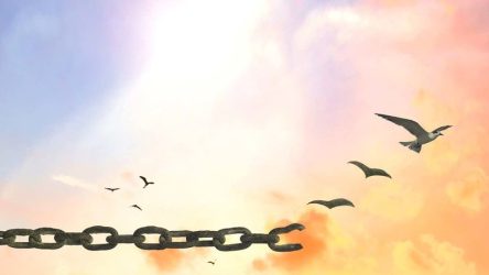 ZGEkNZmYCOFJSzd-800x450-noPad