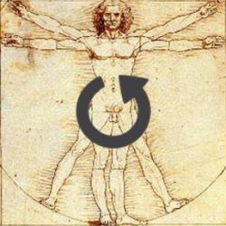 logo Biotypology_Replay